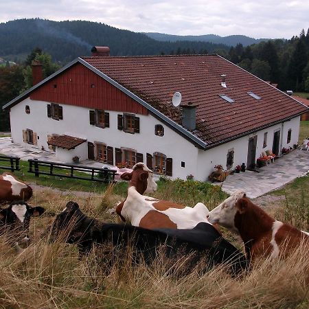 Appartement La Timonière Gérardmer Esterno foto