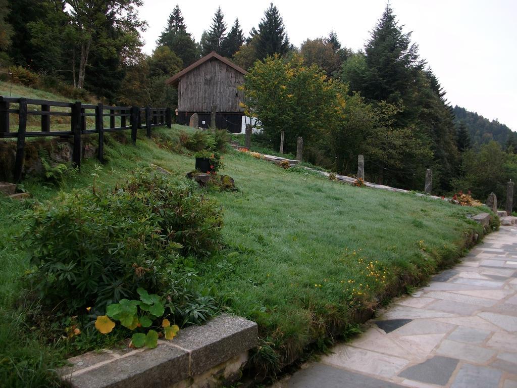 Appartement La Timonière Gérardmer Esterno foto