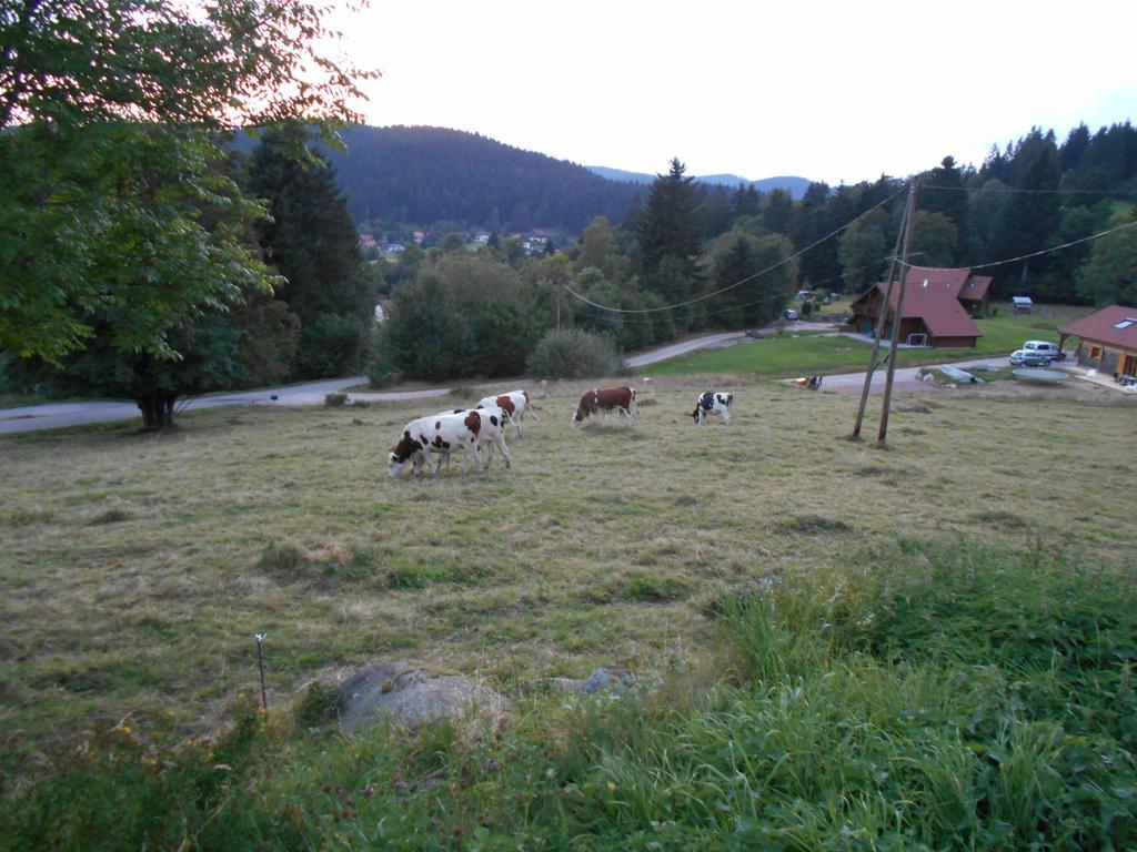 Appartement La Timonière Gérardmer Esterno foto