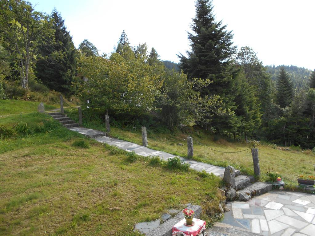 Appartement La Timonière Gérardmer Esterno foto