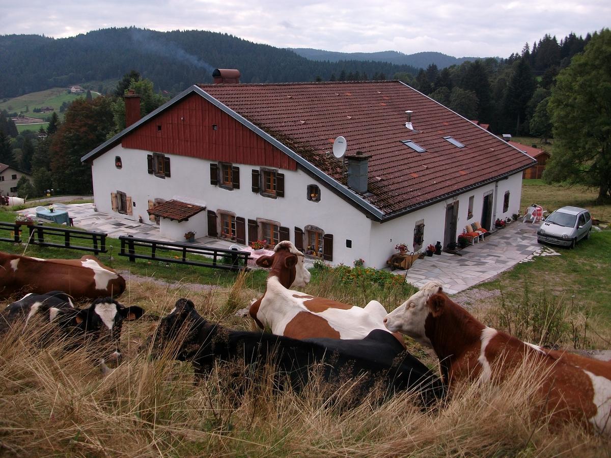 Appartement La Timonière Gérardmer Esterno foto