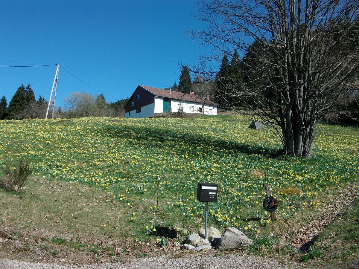 Appartement La Timonière Gérardmer Esterno foto