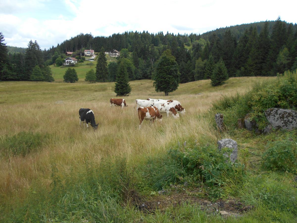 Appartement La Timonière Gérardmer Esterno foto