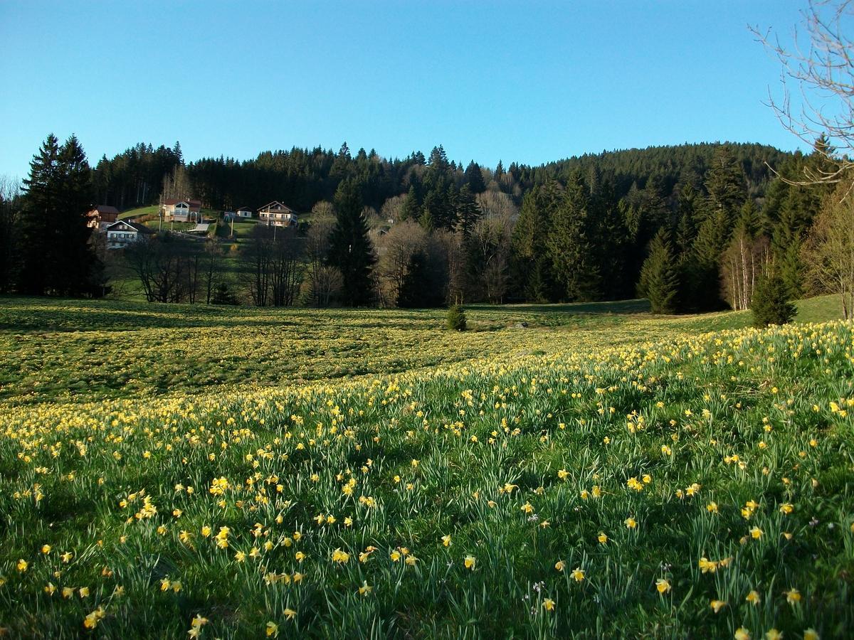 Appartement La Timonière Gérardmer Esterno foto