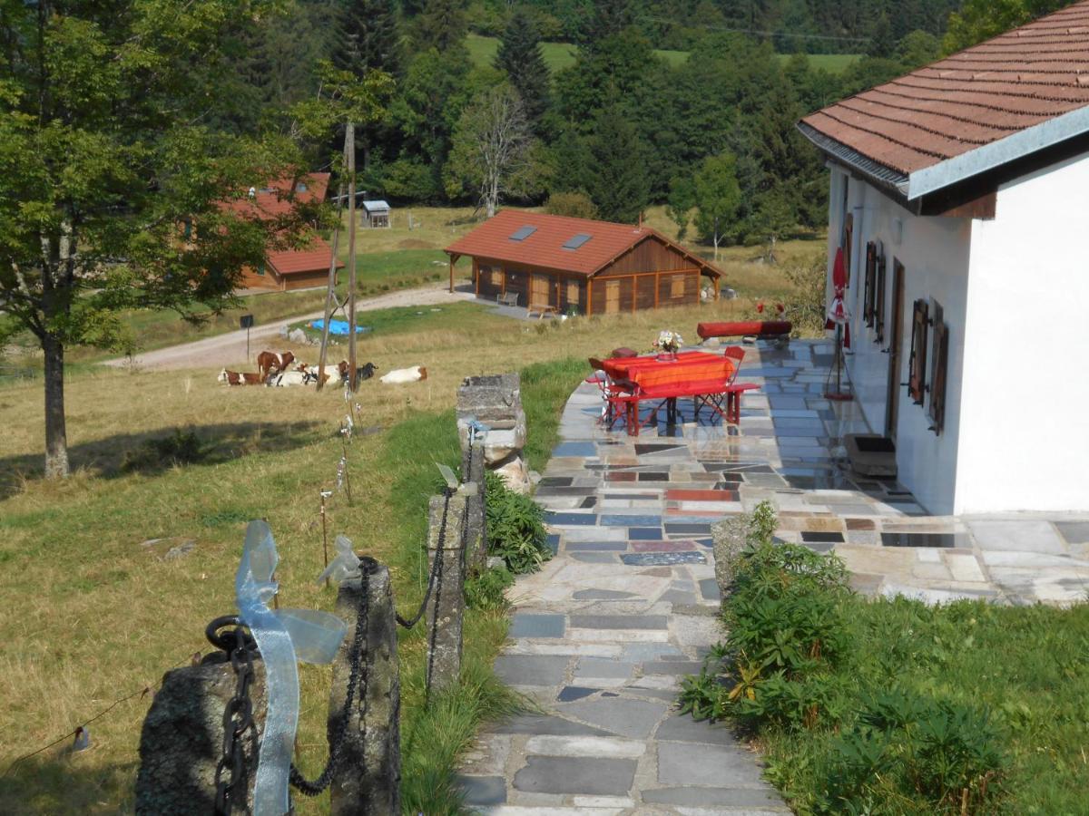 Appartement La Timonière Gérardmer Esterno foto