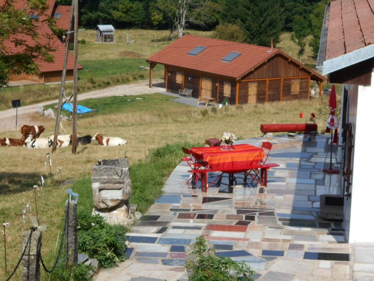 Appartement La Timonière Gérardmer Esterno foto